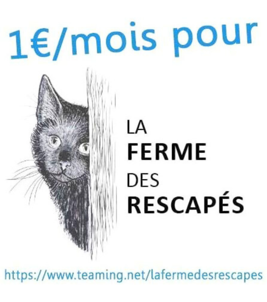 La Ferme des Rescapés 