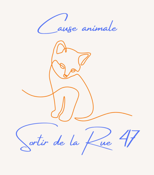 Sortir de la Rue 47 